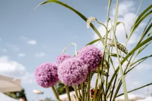 Business Events auf Gut Kerschlach